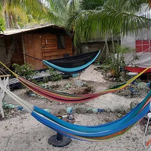 Homestay Sustainable Cabain, Cozumel