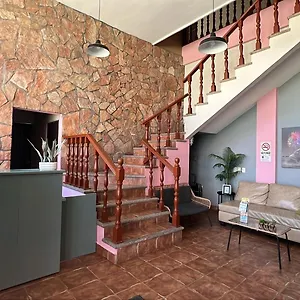 https://hotel-colonos.cabosanlucashotelsmexico.com